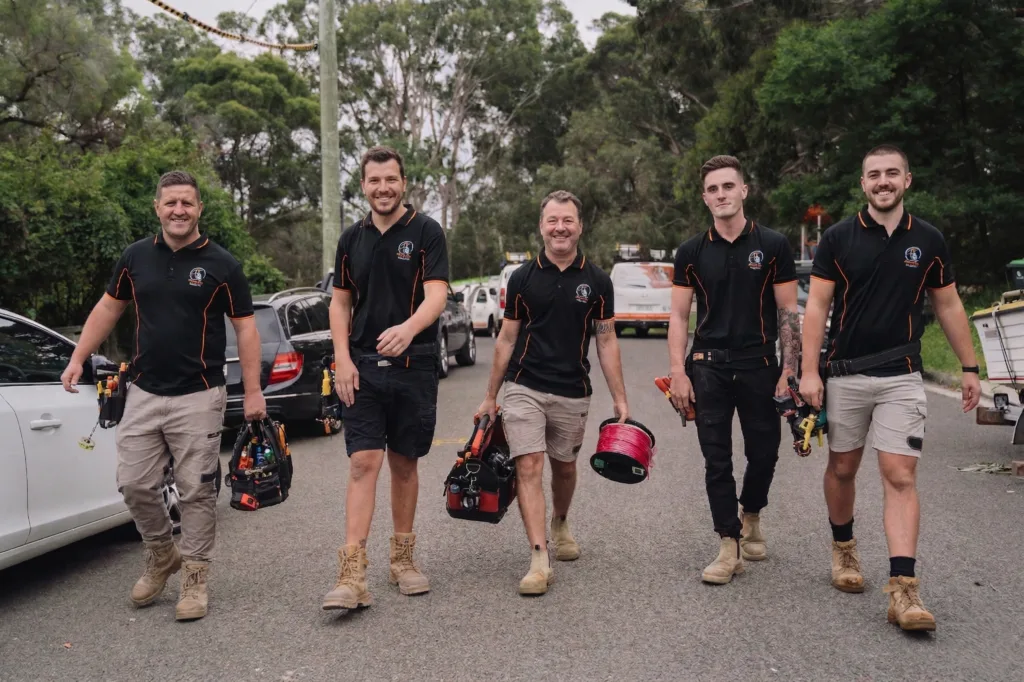 Professional electrical services in Neutral Bay